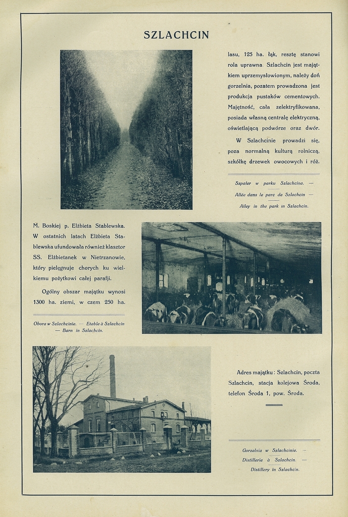 189 szlachcin.jpg